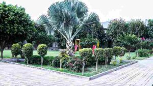 al raziq garden lahore (12)